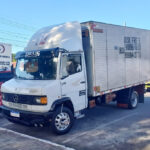DINHO | Transportador (Frete Mimosa)
